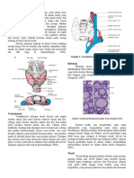 Graves Disease