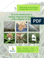 guia identificacion5.pdf