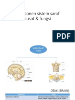 Komponen Sistem Saraf Pusat & Fungsi