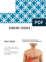 Dinding Thorax