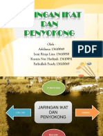 Jaringan Ikat Dan Penyokong