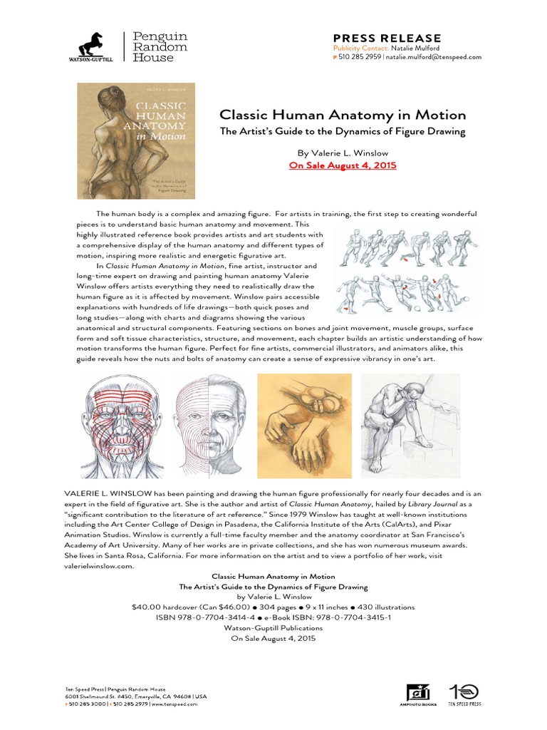 Classic Human Anatomy In Motion Pr Pdf Figure Drawing Human Body