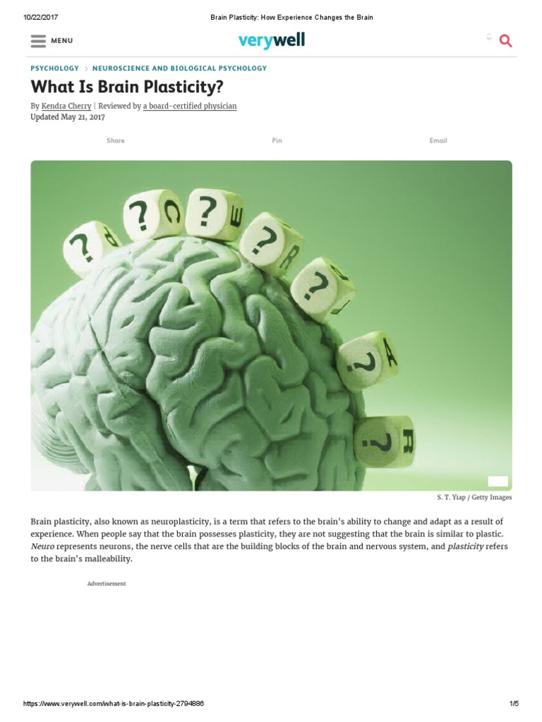 Critical Periods In Brain Development The Role Of Experience Expectant Plasticity - y24ck5s