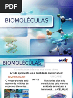 o Grande Pp Biomoléculas