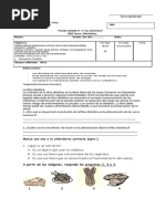 Prueba Ciencias Unidad2 Alimentacion