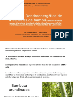 Silvicultura de Plantaciones