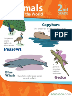 Animals of The World Workbook