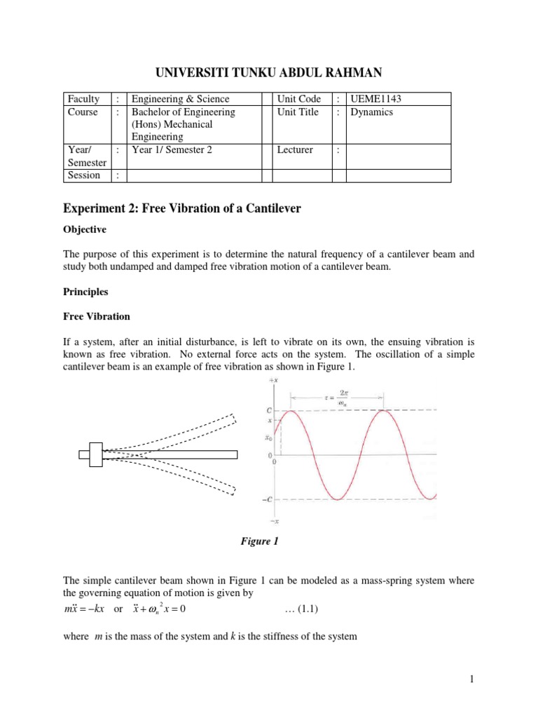2 - Free Vibration of A Cantilever PDF | PDF | Mechanics | Continuum ...