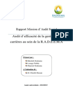 Rapport Mission D_audit RADEEMA