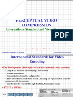 International Standards for Video Encoding