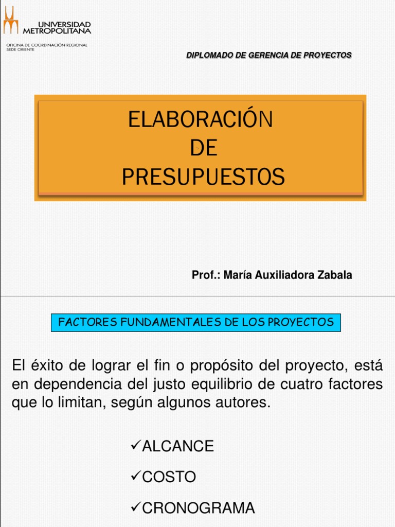 Guía para Elaborar Presupuestos de Proyectos | PDF | Presupuesto | Business