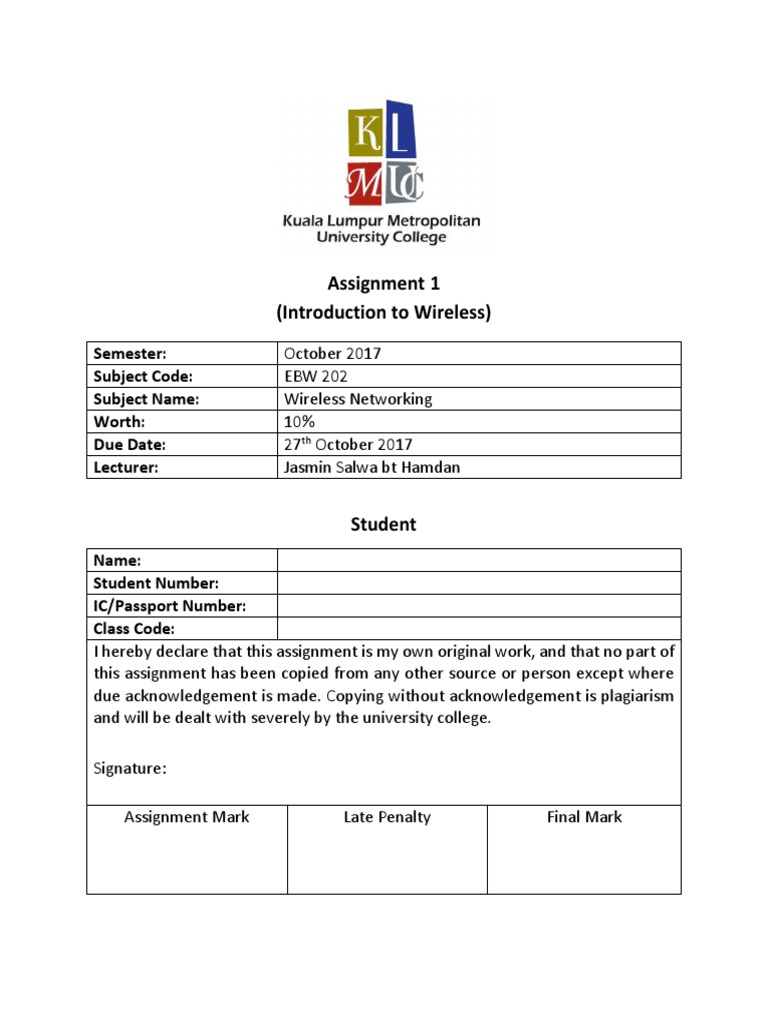Wireless Networking Assignment | PDF | Wireless Ad Hoc Network | Routing