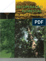 Recuperacao Florestal - Da Muda A Floresta