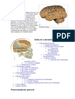 CEREBRO HUMANO.doc