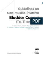 EAU Guidelines Non Muscle Invasive Bladder Cancer 2015 v1