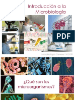 IntroduccionMicrobiologia_18981.pdf