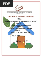 Control de La Constitucion