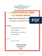 PROYECTO INNOVADOR.docx