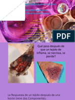 Reparacion Celular. Cicatrizacion Fisiopatologia Del Proceso de Cicatrizacion. Inmunidad y Autoinmunidad