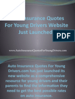 Auto Insurance Quotes For Young Drivers