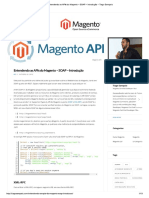 API Do Magento