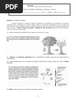 Ficha Trabalho Transporte No Floema Com Correção