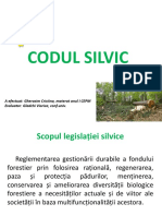 Codul silvic.pptx