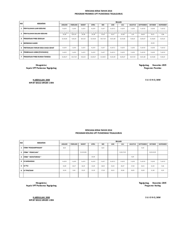 Rencana KERJA TAHUNAN Promkes 2017 | PDF