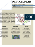 PDF Biologia Celular Periodico Fisioterapia