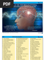 Atlas de Neuroanatomia