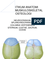 Praktikum Osteologi 1.pdf