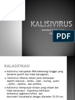 KALISIVIRUS