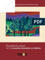El problema actual de los Incendios Forestales en Galicia - COSE