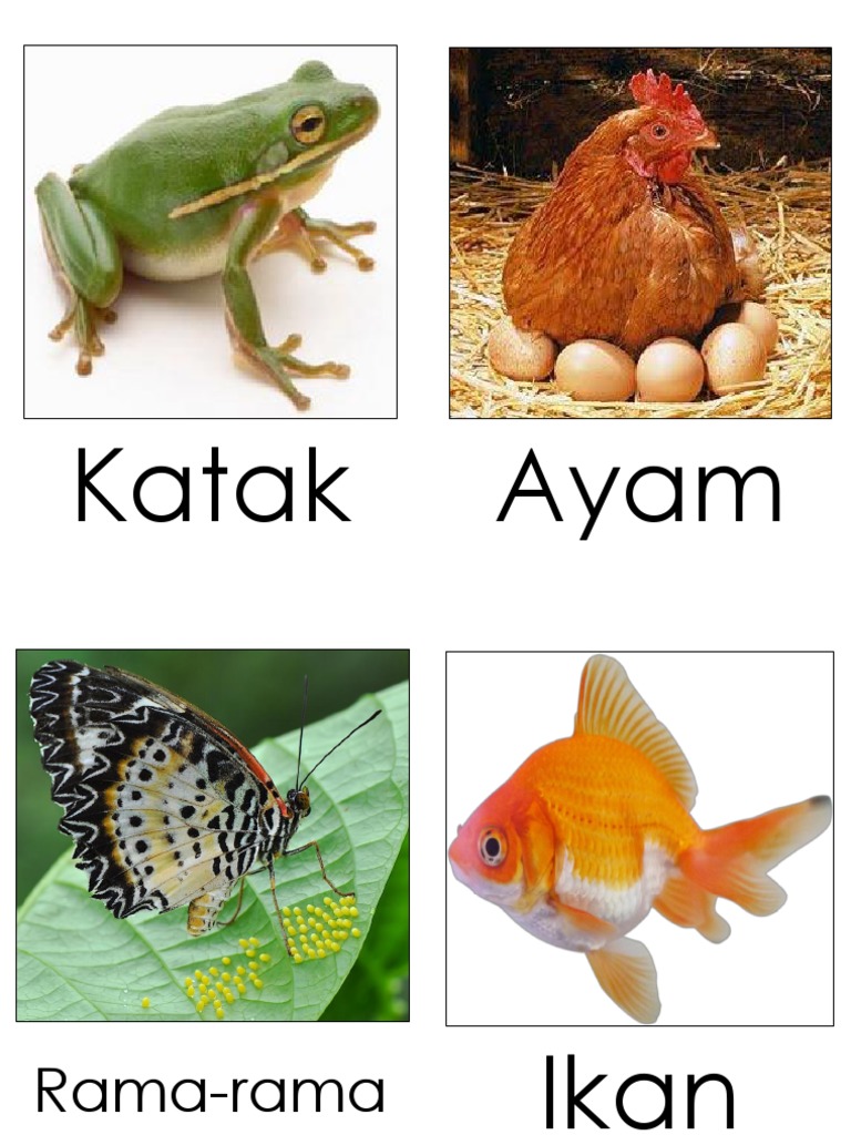 Haiwan Bertelur Dan Melahirkan Anak