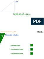 Ciencias Sociales