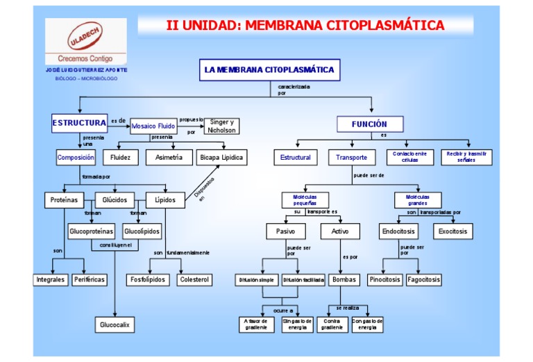 Biolementos y Biomoleculas Mapa Conceptual Membrana