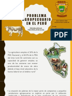 Problema Agropecuario en El Perú