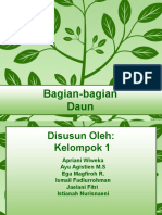 Bagian2 Daun