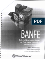 BANFE Manual PDF