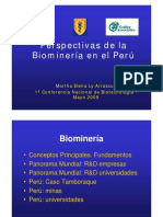 15_M_Ly-Biomineria_en_Peru.pdf