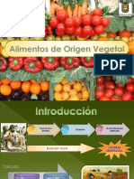 Alimentos Origen Vegetal