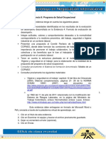 Evidencia 9 Programa de Salud Ocupacional PDF