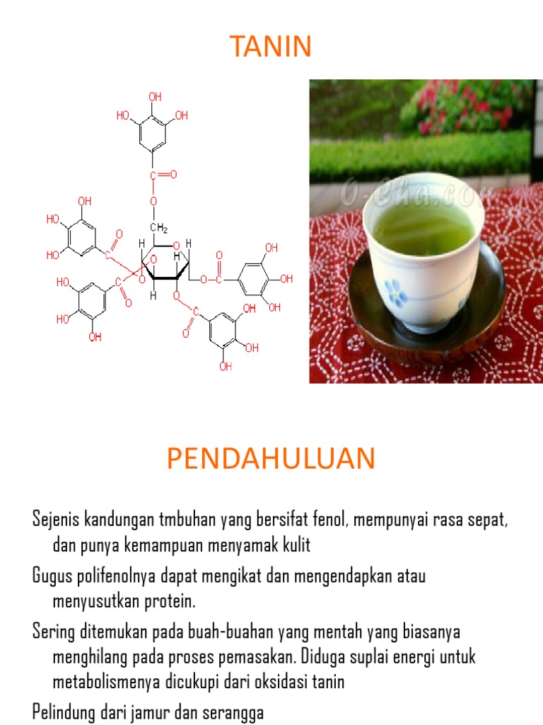 Tanin: Sifat, Struktur, dan Klasifikasi | PDF | Polifenol | Polimer