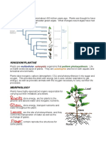 D11 - Kingdom Plantae (Solutions)
