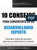 desarrollador-experto.pdf