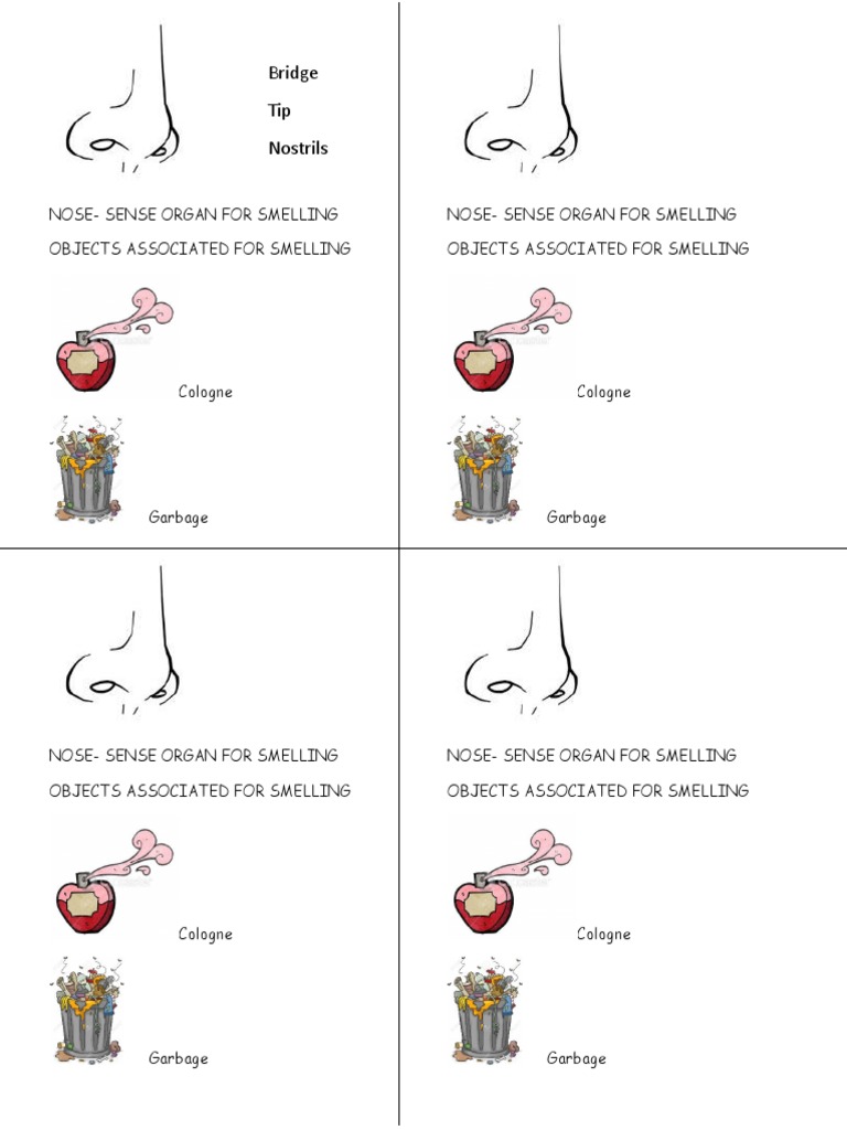 Sense Of Smell Pdf