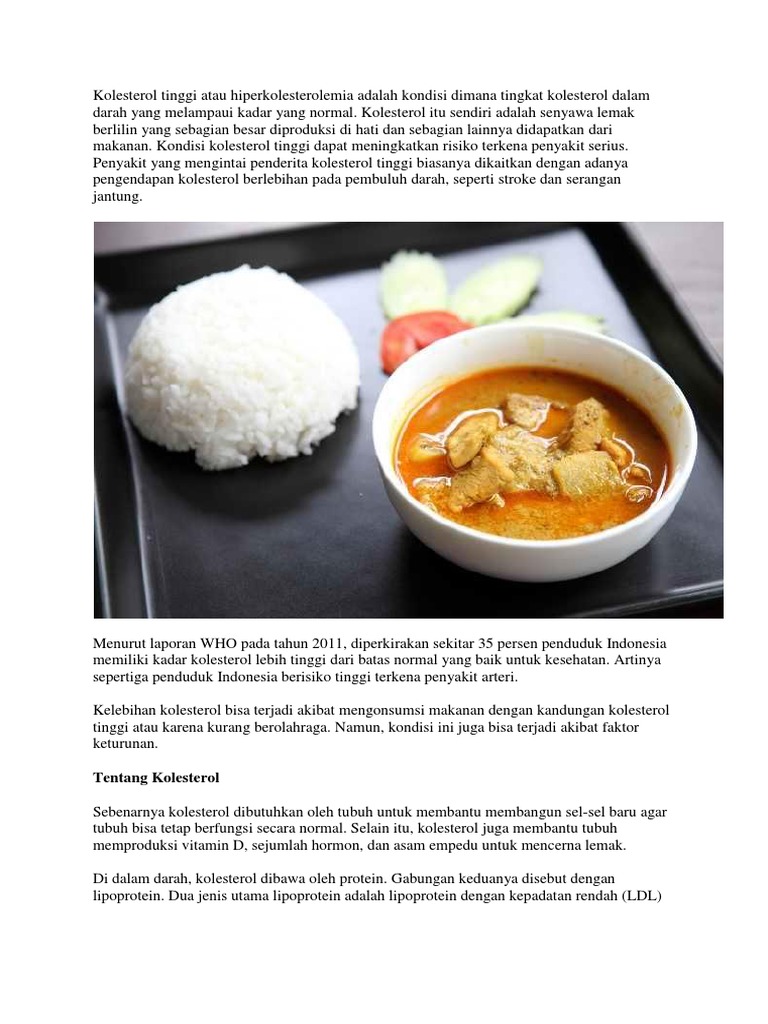 Penyakit Kolesterol Gejala Penyebab Dan Cara Mengobati