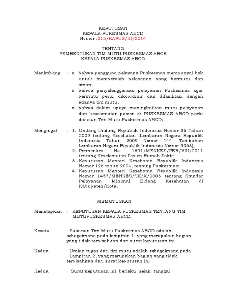 SK Tim Mutu Puskesmas