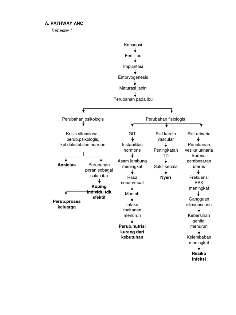 Panduan Pathway ANC Trimester I-III | PDF
