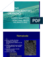 Nematode PDF